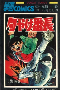 Vol. 16