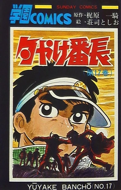 Cover of Vol. 17