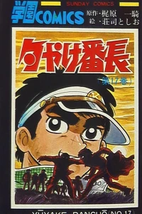 Vol. 17