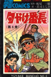 Vol. 6