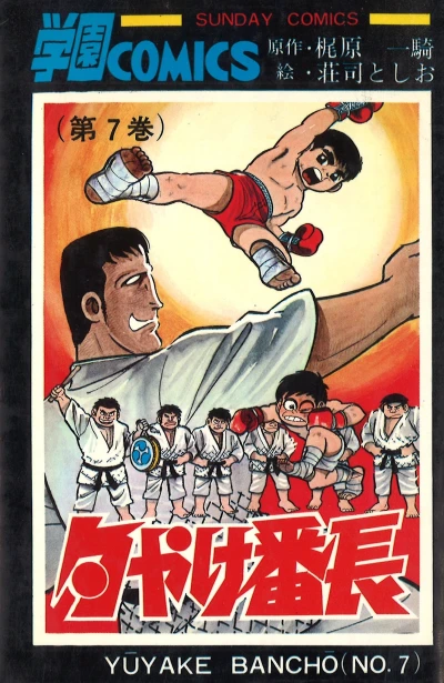 Cover of Vol. 7