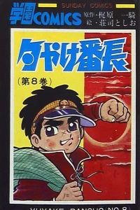 Vol. 8