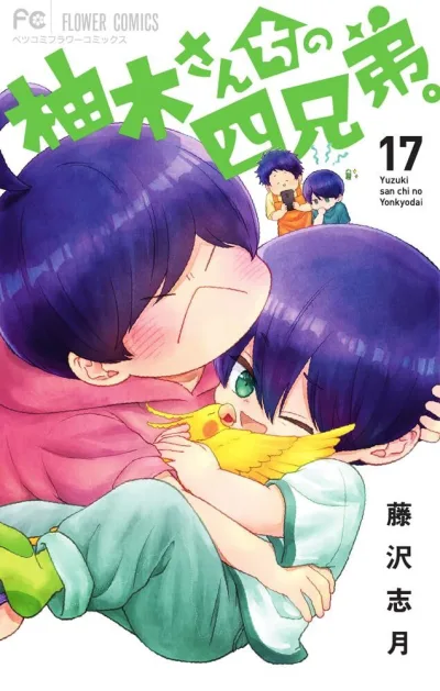 Cover of Volume 17
