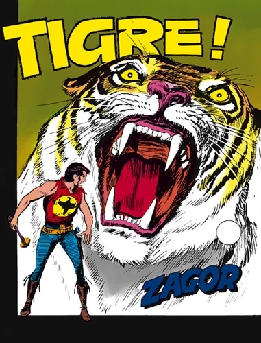 Cover of Tigre!