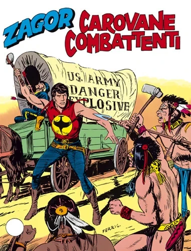 Cover of Carovane combattenti