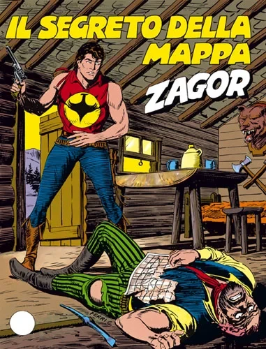 Cover of Il segreto della mappa