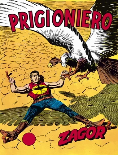 Cover of Prigioniero
