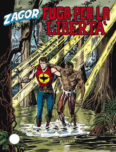 Cover of Fuga per la libertà