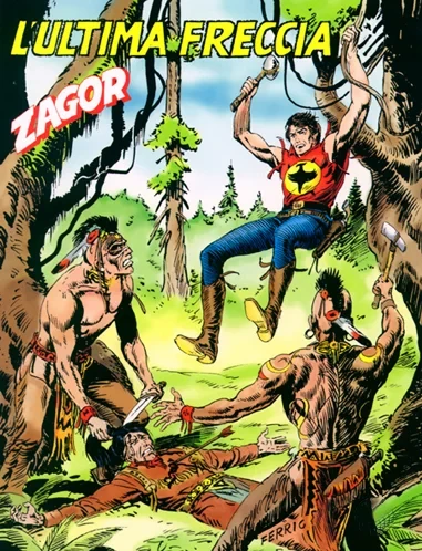 Cover of L'ultima freccia