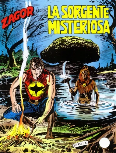 Cover of La sorgente misteriosa