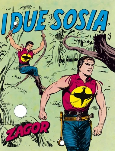 Cover of I due sosia