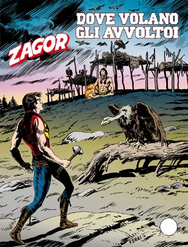 Cover of Dove volano gli avvoltoi