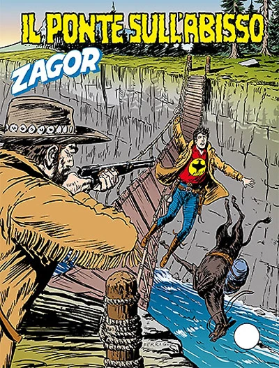 Cover of Il ponte sull'abisso