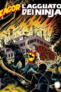 L'agguato dei ninja