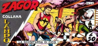 Cover of La scomparsa di Cico