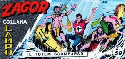 Cover of Il totem scomparso