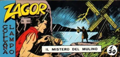 Cover of Il mistero del mulino