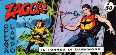Cover of Il torneo di Darkwood