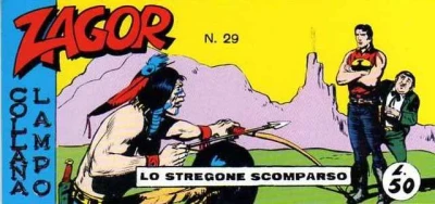 Cover of Lo stregone scomparso