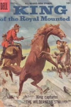 The Wilderness Stallion