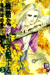 Vol. 3