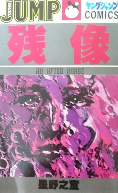 Cover of An After Image