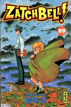 Tome 29