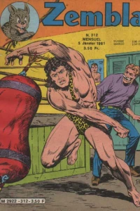 Issue #312