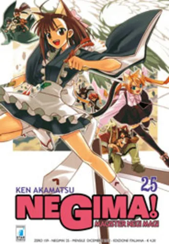 Cover of Negima! 25