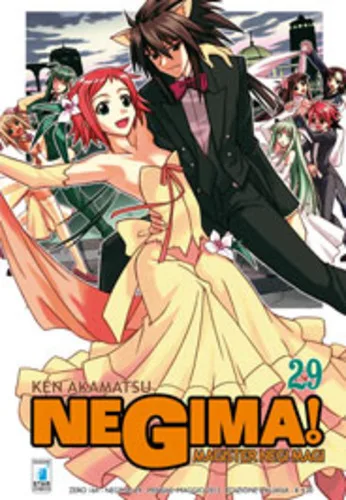 Cover of Negima! 29