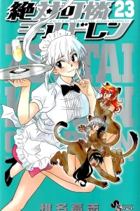 Vol. 23