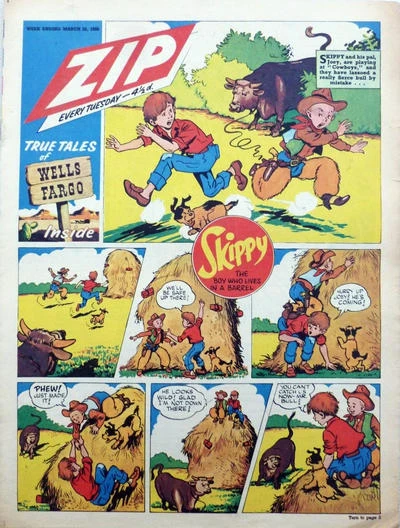 Cover of Wells Fargo