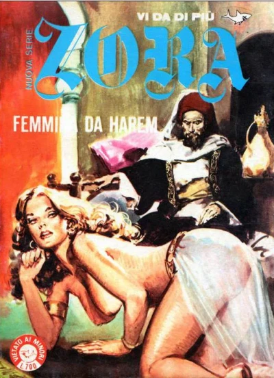 Cover of Femmine da harem