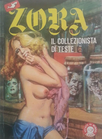 Cover of Il collezionista di teste