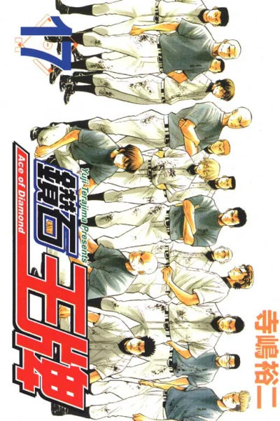 Cover of Vol. 17