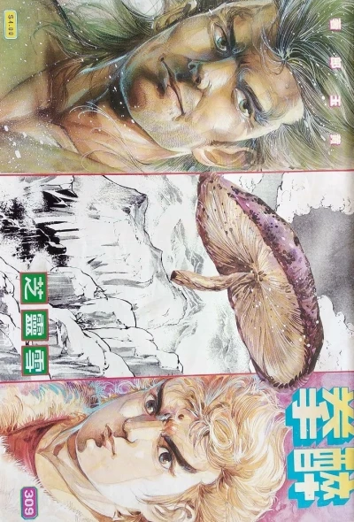Cover of Issue #309