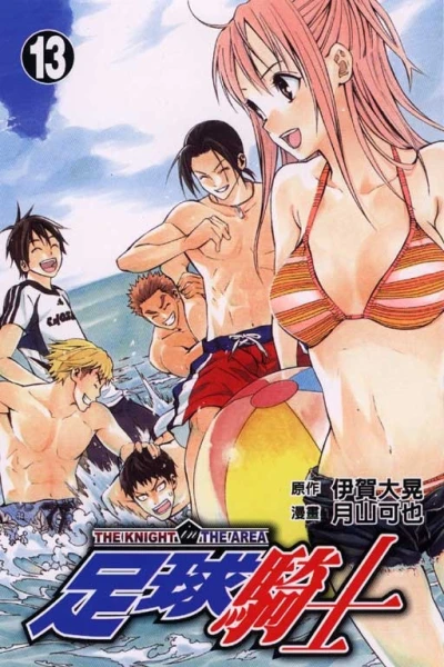 Cover of Vol. 13