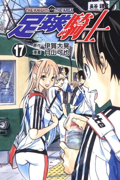 Cover of Vol. 17