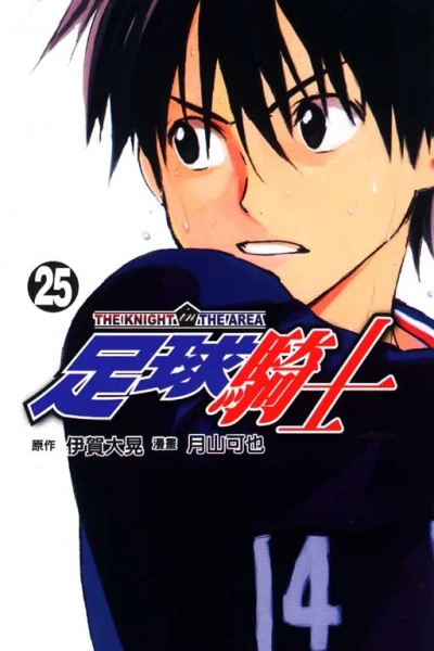 Cover of Vol. 25