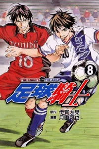 Vol. 8