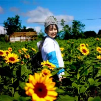 Miss Review - review truyện tranh