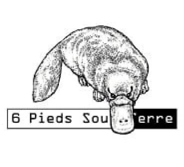 Logo of 6 Pieds Sous Terre