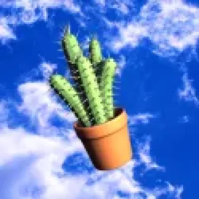 Airborne Cactus