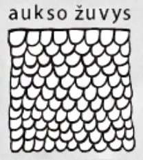 Logo of Aukso žuvys