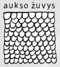 Logo of Aukso žuvys