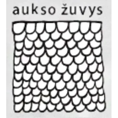 Aukso žuvys