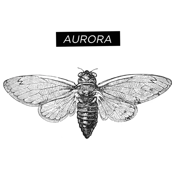 Logo of Aurora Comics