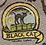 Logo of Black Cat Publishing