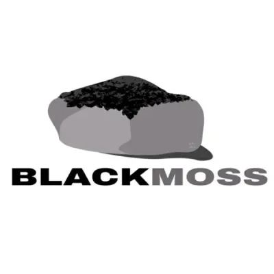 Blackmoss Comics