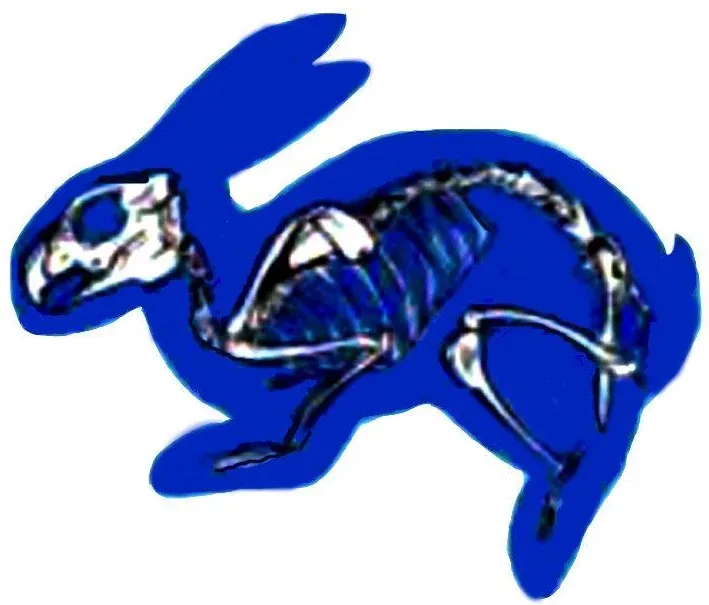Logo of Blue Hare Comix